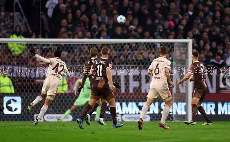 易游app官方下载度小满理财辽宁籍足球运动员王军：个人经历、成就和球队生涯介绍