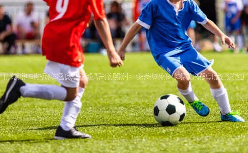 易游m6金山办公揭秘中国足球运动员流失背后的真相：转会风波、国家政策与未来发展