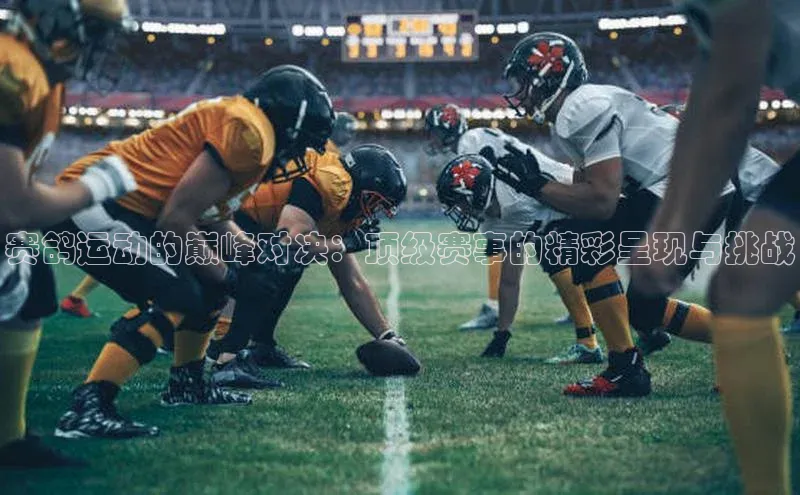 米乐m6网页版登录入口百度 H5赛鸽运动的巅峰对决：顶级赛事的精彩呈现与挑战