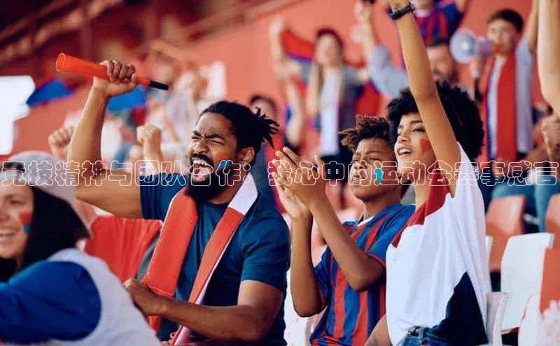 米乐m6yy易游阿里尔公司竞技精神与团队合作：我心中的运动会赛事感言