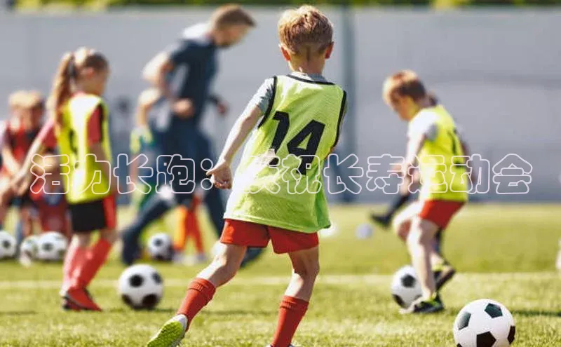 活力长跑：庆祝长寿运动会