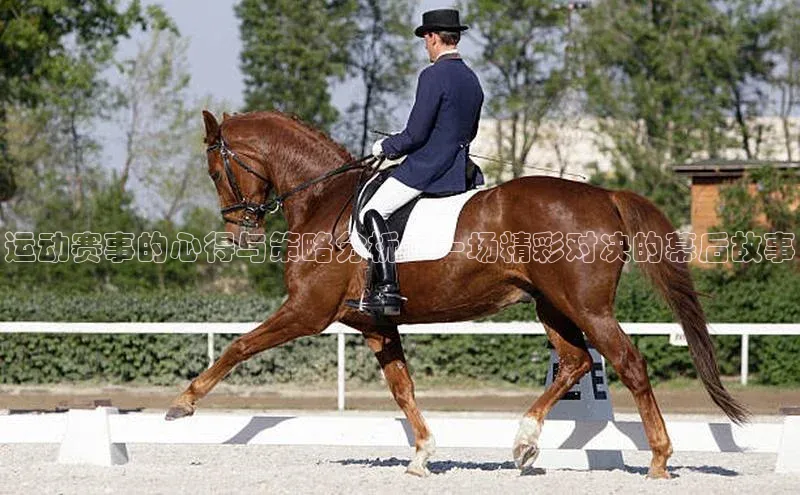 运动赛事的心得与策略分析：一场精彩对决的幕后故事