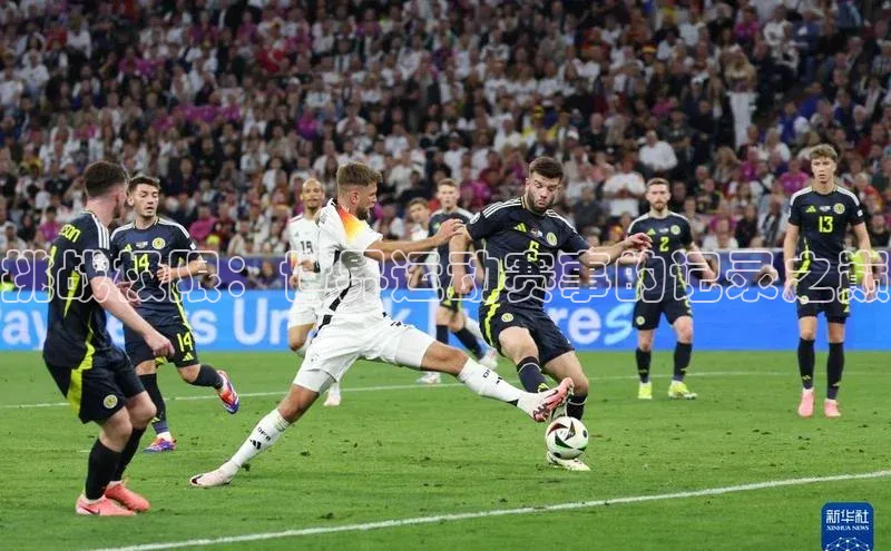 挑战极限：世界运动赛事的记录之巅