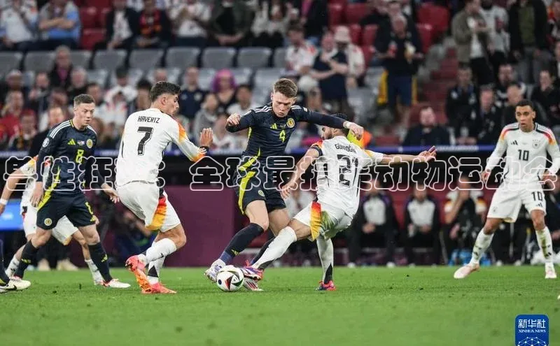 兽性狂欢：全球最搞笑动物运动会