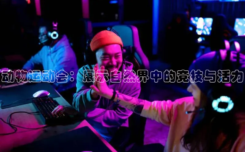 动物运动会：展示自然界中的竞技与活力