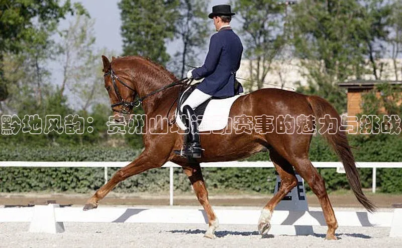 黔地风韵：贵州山地运动赛事的魅力与挑战