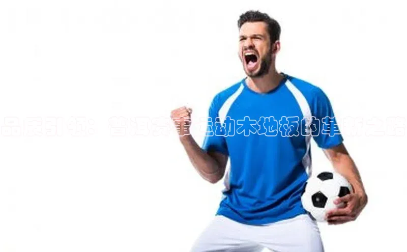 品质引领：普洱赛事运动木地板的革新之路