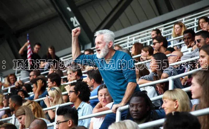 ：顶级运动赛事裁判员的收入与工作待遇