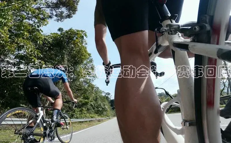 第二日盛况：学校运动会精彩赛事回顾