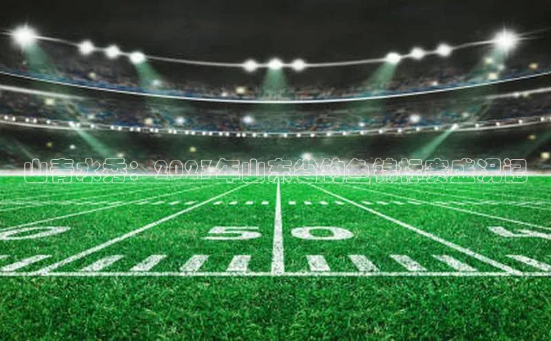 山青水秀：2023年山东省钓鱼锦标赛盛况记