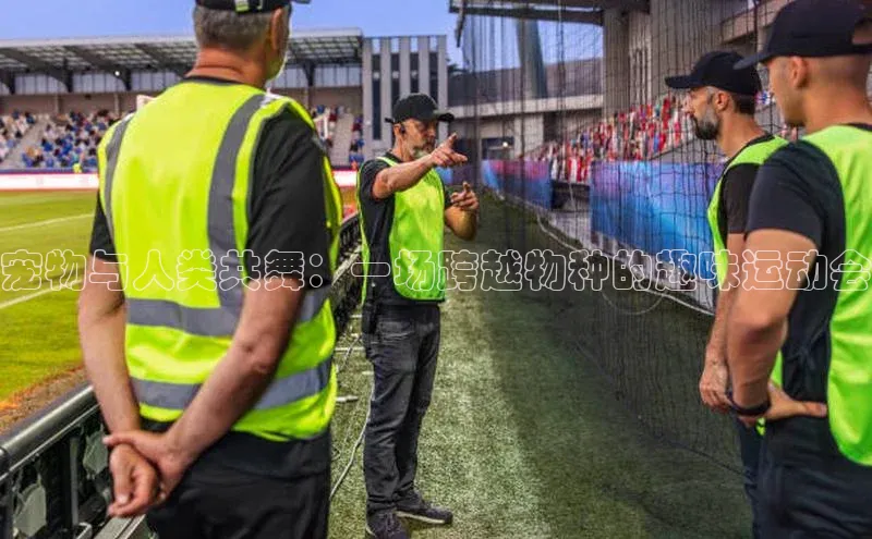 宠物与人类共舞：一场跨越物种的趣味运动会