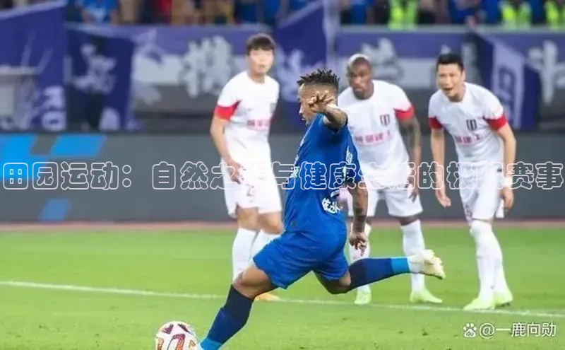 田园运动：自然之美与健康生活的极限赛事