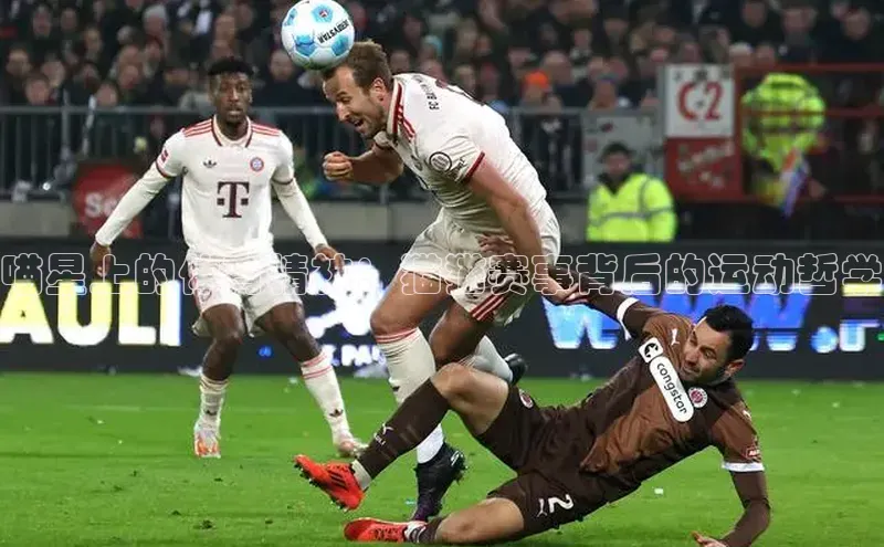 喵星上的体育精神：猫猫赛事背后的运动哲学