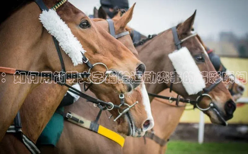 ：如何用简明文字描绘运动赛事的精彩瞬间