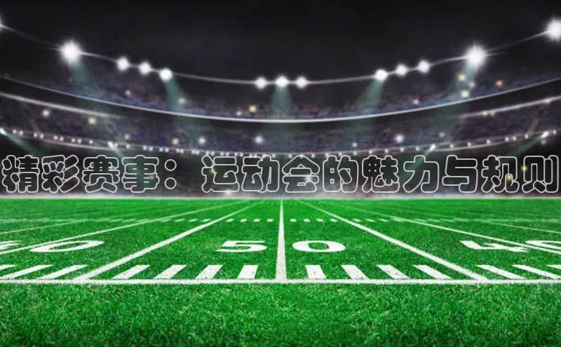 精彩赛事：运动会的魅力与规则