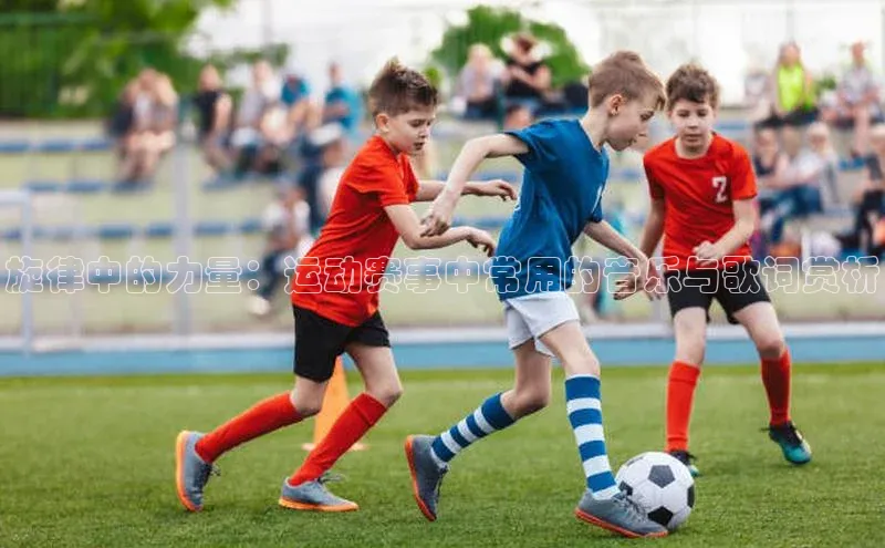 米乐YY易游下载